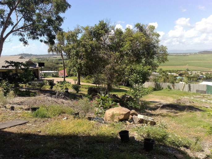 garden-january-2012-030