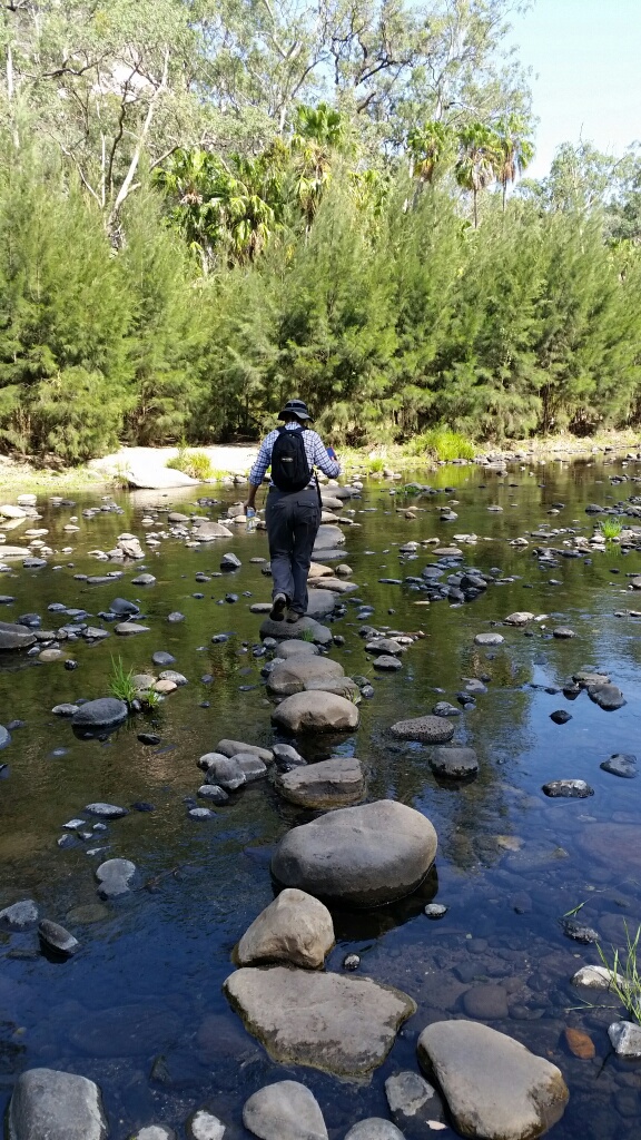 20171009_085852_1513991087868_resized