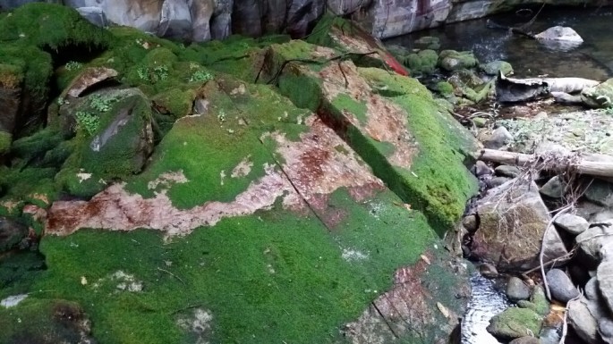 20171009_154231_1513990975632_resized