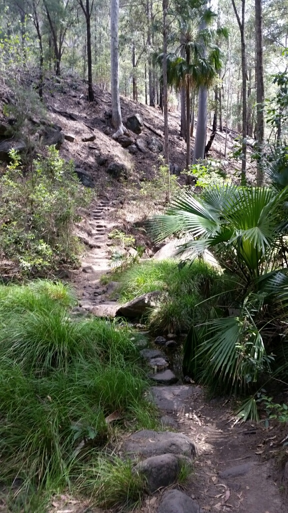 20171010_133028_1513990931746_resized